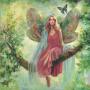 Photo de libelle