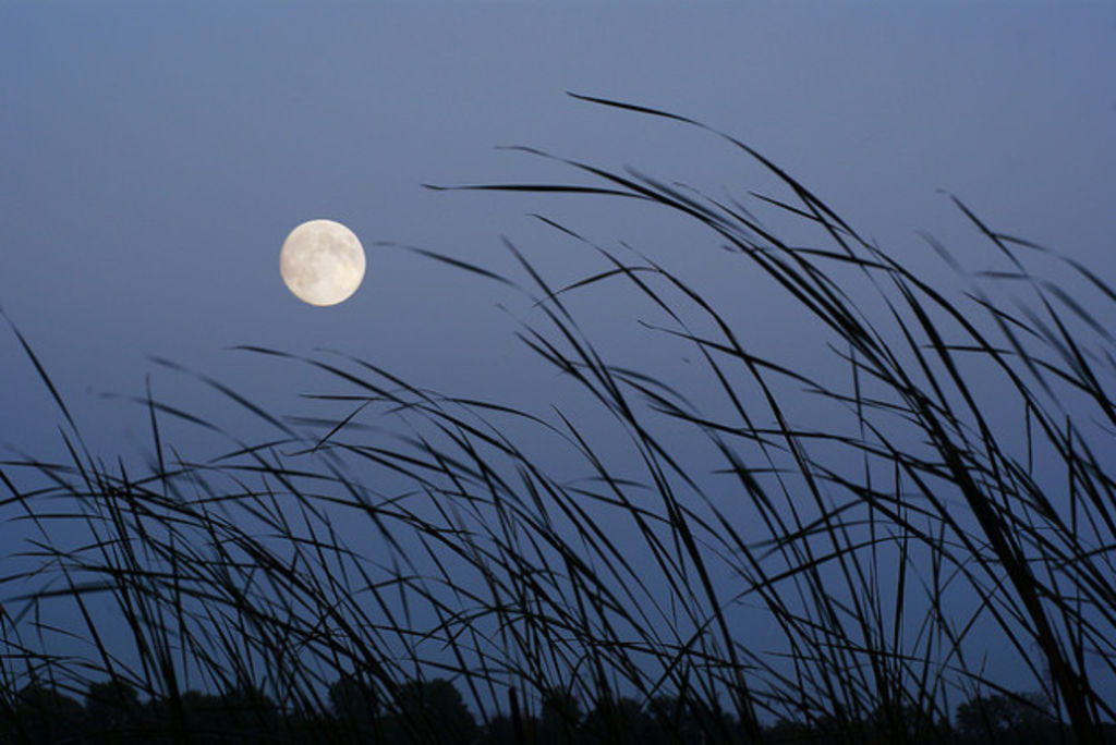 Depuis : Le silence