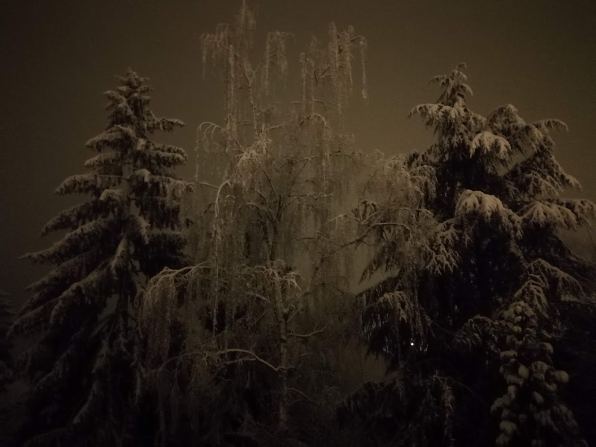 Depuis : Cher Hiver