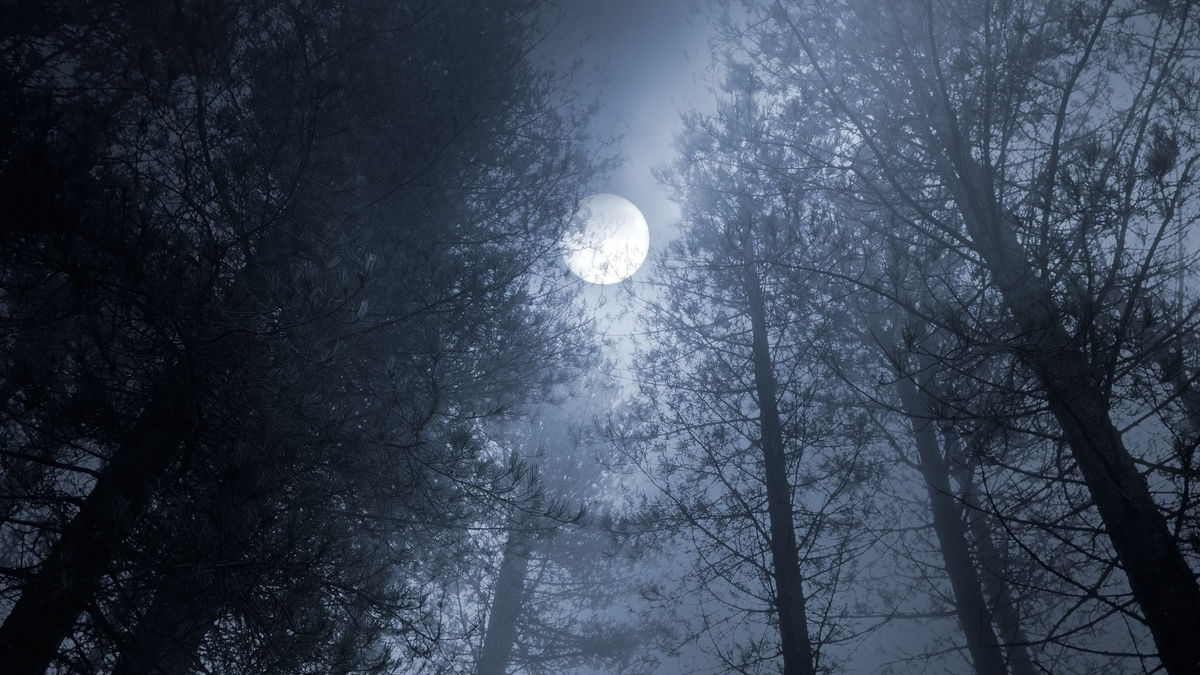 Depuis : Solstice