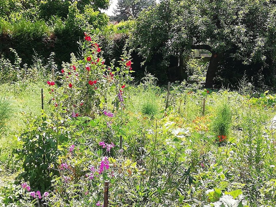 Depuis : Le jardin enchanté