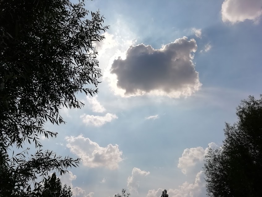 Depuis : Les beaux jours