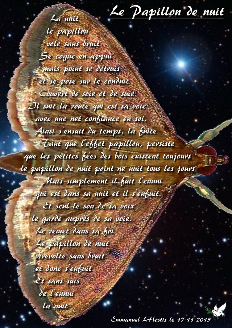 Depuis : Le Papillon de nuit