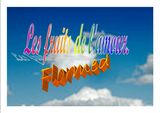 Photo de flormed