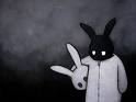 Photo de Amalgame
