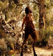 Photo de Faune