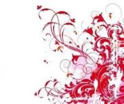 Photo de Alan CARTNER