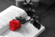Photo de OMILLOU@