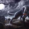 Un Loup dans le noir - dernier message par max24