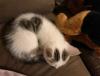Depuis: Trois mots doux
