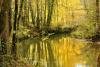 Depuis: Lumire d'automne