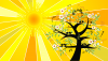 Depuis: Le jour le plus long